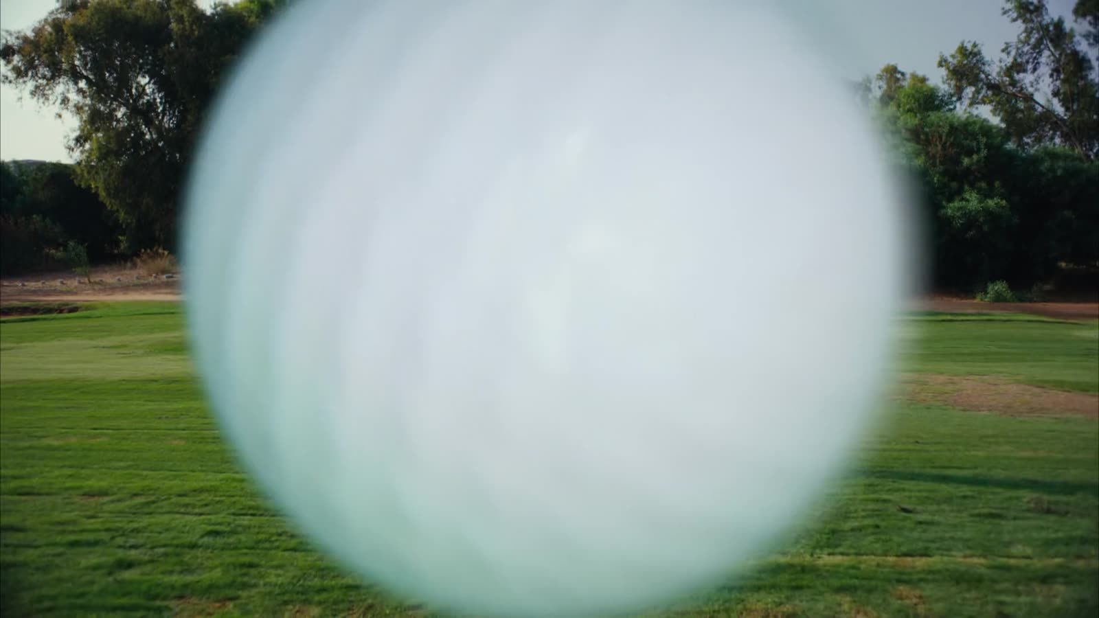 zweï  specialty lens
